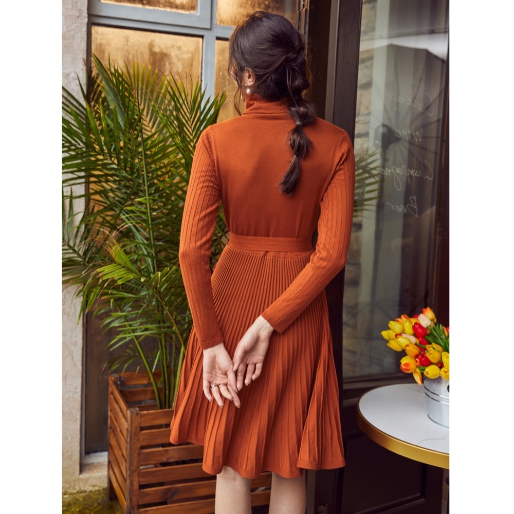 Pumpkin Orange Turtleneck Knit Belted Dress - Picture 8 of 16